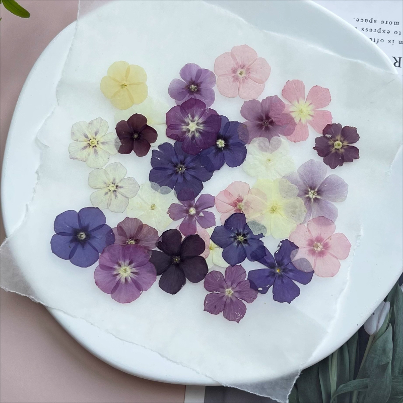 12 Stück, halbtransparente Nis – Resin Art Baby Bewertung und Preis